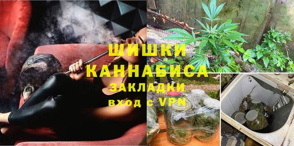 гашик Арсеньев