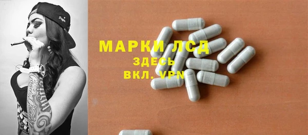 гашик Арсеньев