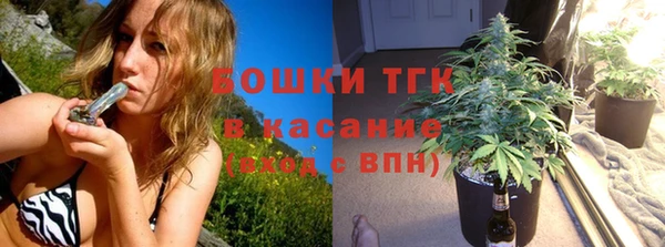 гашик Арсеньев
