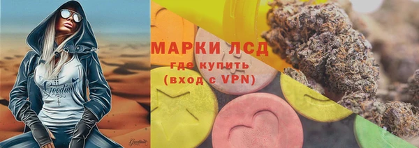 гашик Арсеньев