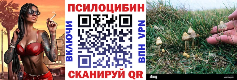 ссылка на мегу   Новоаннинский  Псилоцибиновые грибы мицелий 